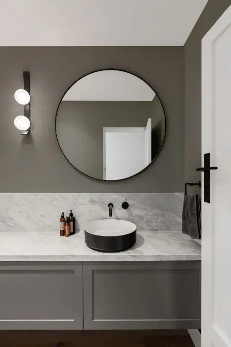 Sherwin Williams Classic French Gray minimalist bathroom