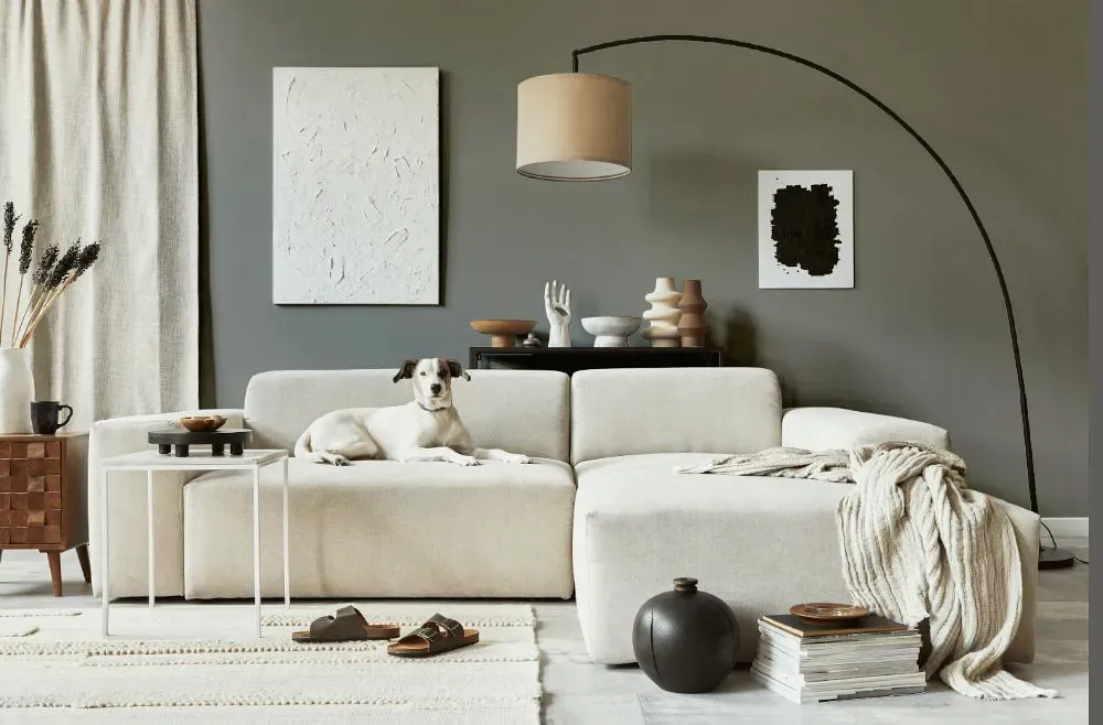 Sherwin Williams Classic French Gray cozy living room
