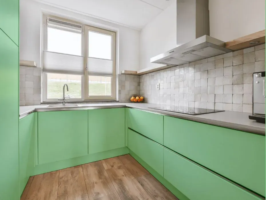 Sherwin Williams Clean Green small kitchen cabinets
