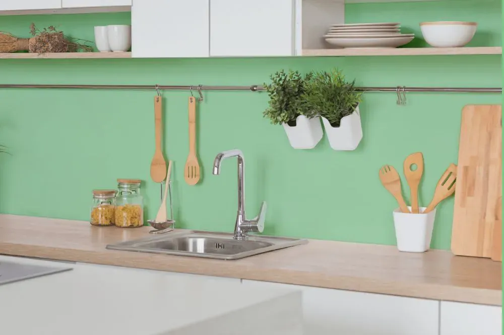 Sherwin Williams Clean Green kitchen backsplash