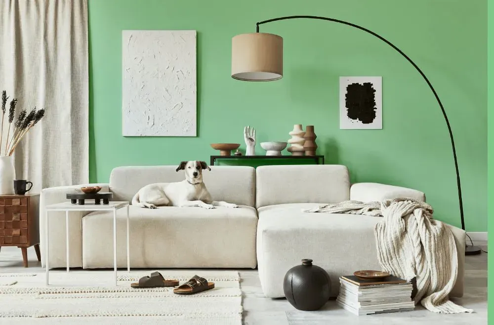 Sherwin Williams Clean Green cozy living room