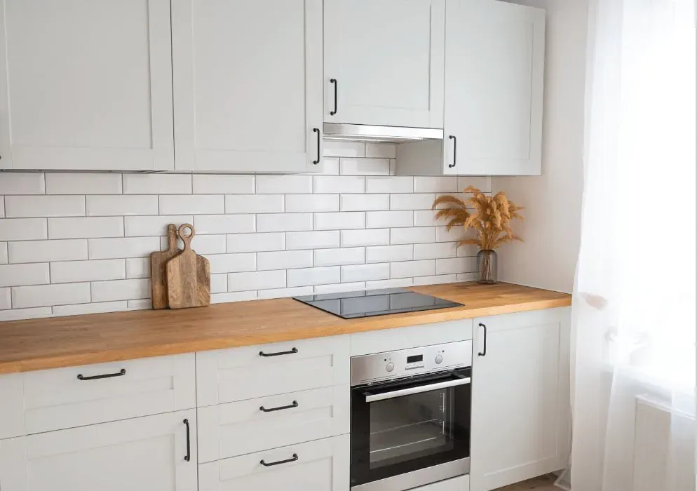Sherwin Williams Clean Slate kitchen cabinets