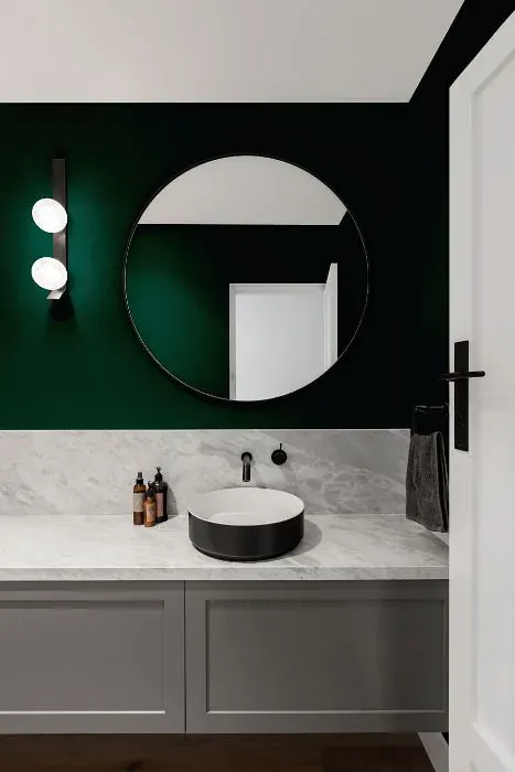 Sherwin Williams Clover minimalist bathroom