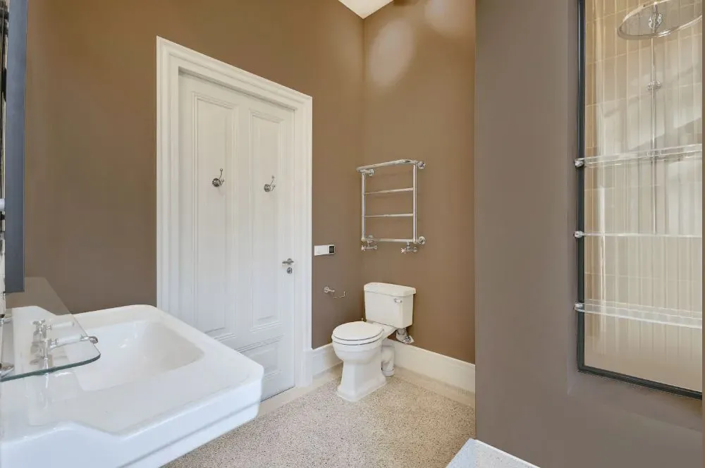 Sherwin Williams Cocoa Whip bathroom