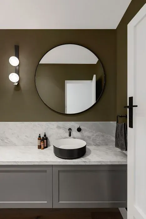 Sherwin Williams Cocoon minimalist bathroom