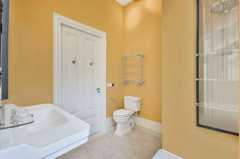 Sherwin Williams Colonial Yellow bathroom
