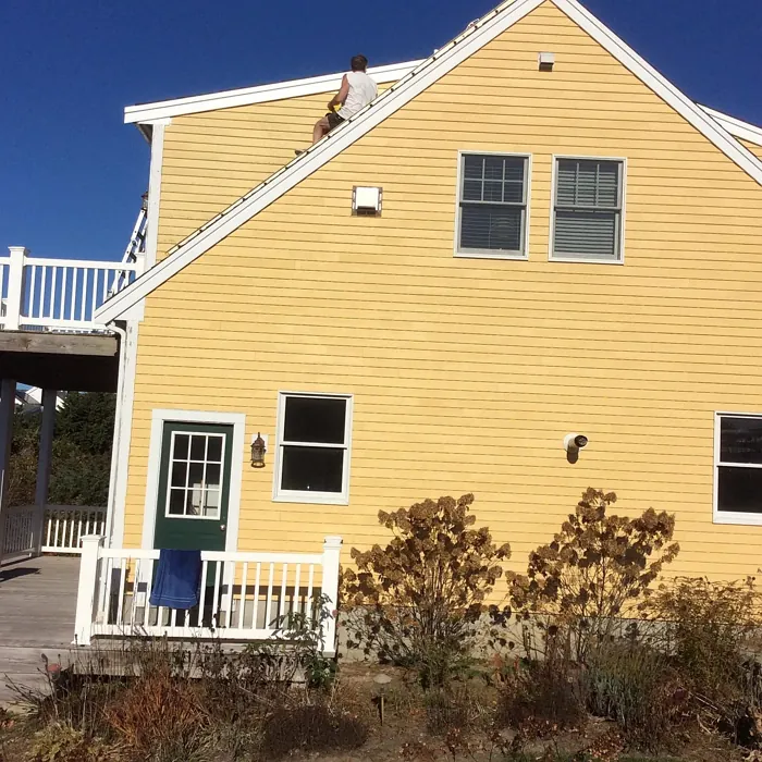 SW Colonial Yellow exterior paint review