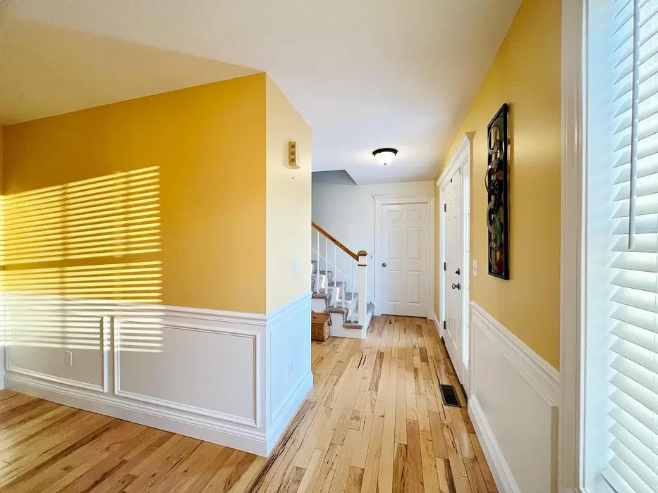 Sherwin Williams Colonial Yellow hallway 