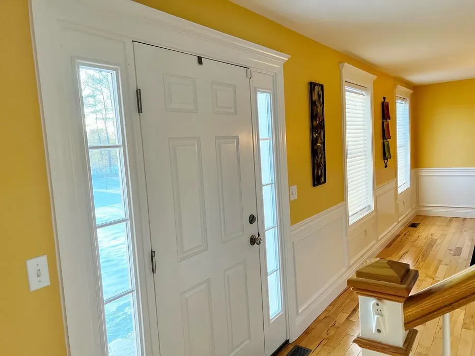 Sherwin Williams Colonial Yellow hallway interior