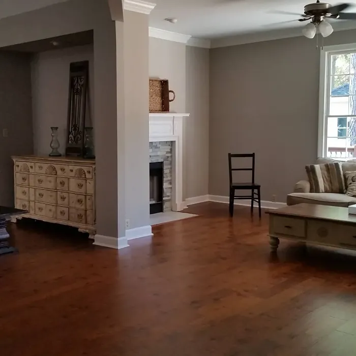 SW Colonnade Gray living room color