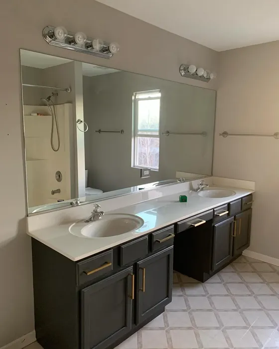 Colonnade Gray bathroom color