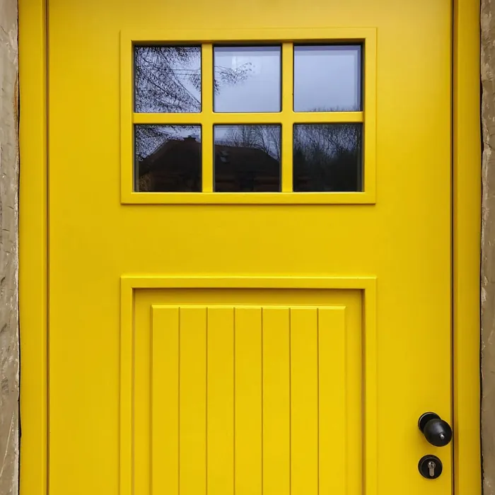 RAL Classic  Colza yellow front door paint