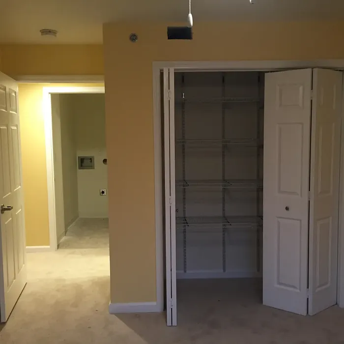 SW Compatible Cream wall paint color