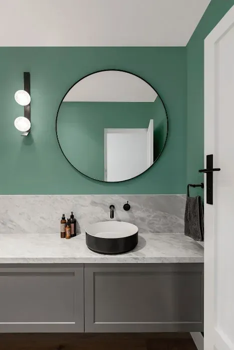Sherwin Williams Composed minimalist bathroom