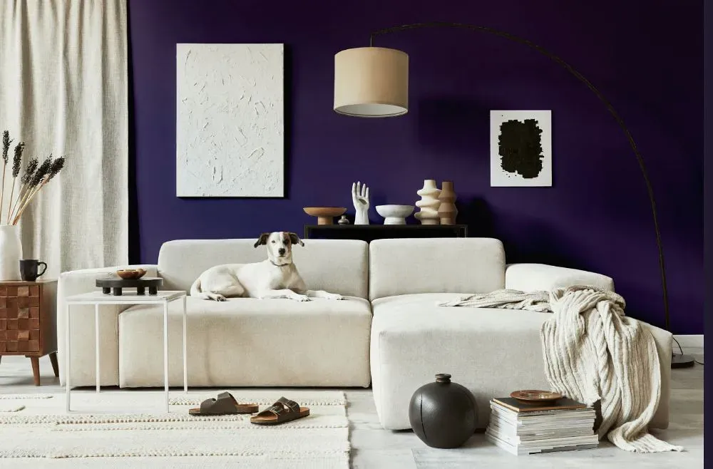 Sherwin Williams Concord Grape cozy living room