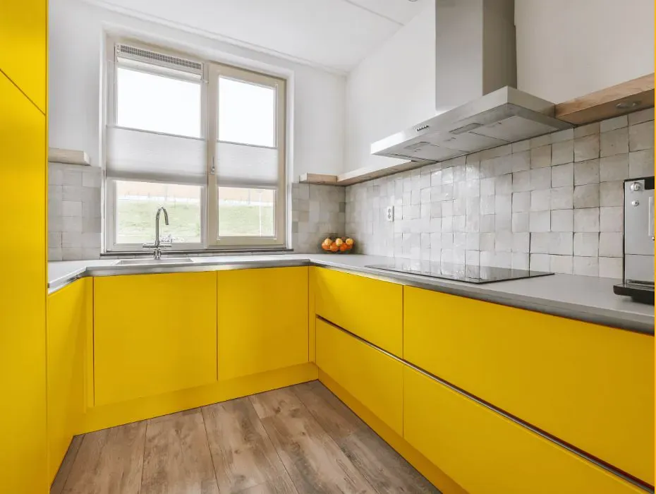 Sherwin Williams Confident Yellow small kitchen cabinets