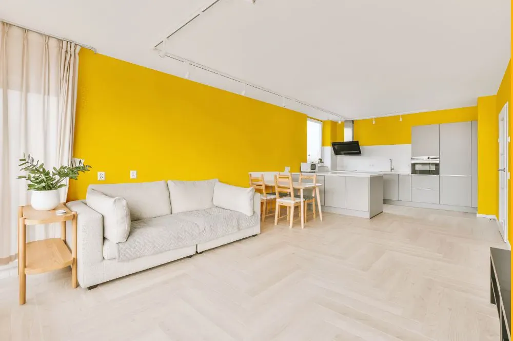 Sherwin Williams Confident Yellow living room interior