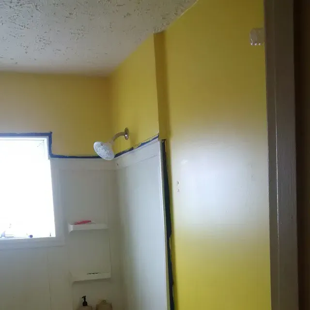 SW Confident Yellow wall paint 