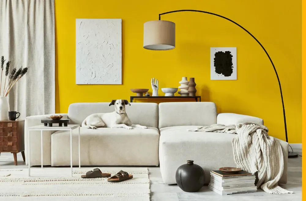 Sherwin Williams Confident Yellow cozy living room