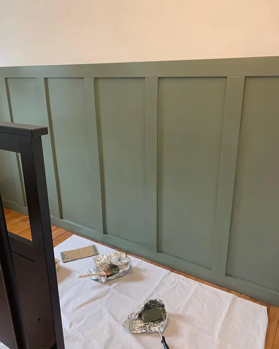 Behr Conifer Green PPU10-19 accent wall panelling