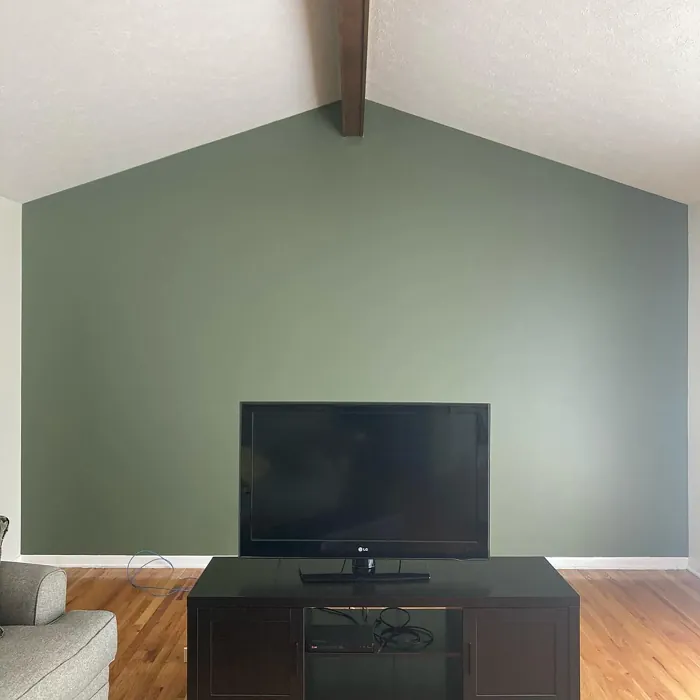 Behr Conifer Green PPU10-19: 75 real pictures