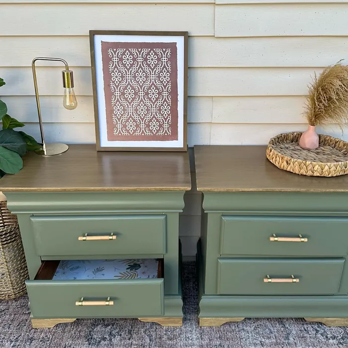 Behr Conifer Green PPU10-19 painted furniture