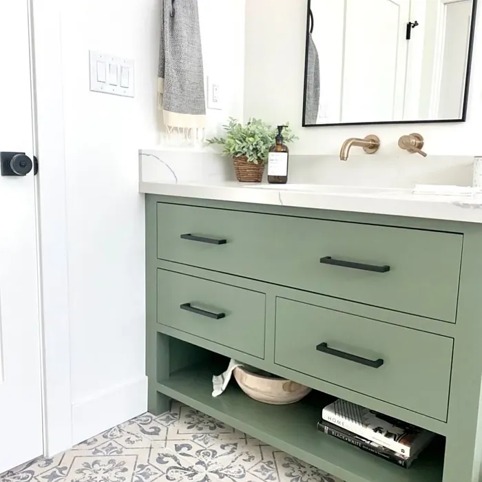 Behr Conifer Green bathroom paint review