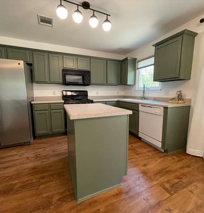 Behr Conifer Green kitchen cabinets paint