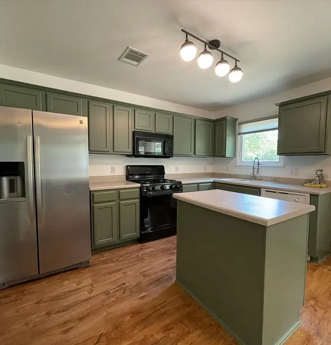 Behr Conifer Green kitchen cabinets makeover