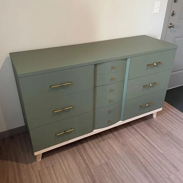 Conifer Green painted furniture review