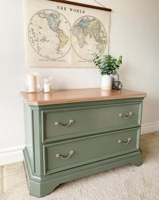 Behr Conifer Green painted furniture picture