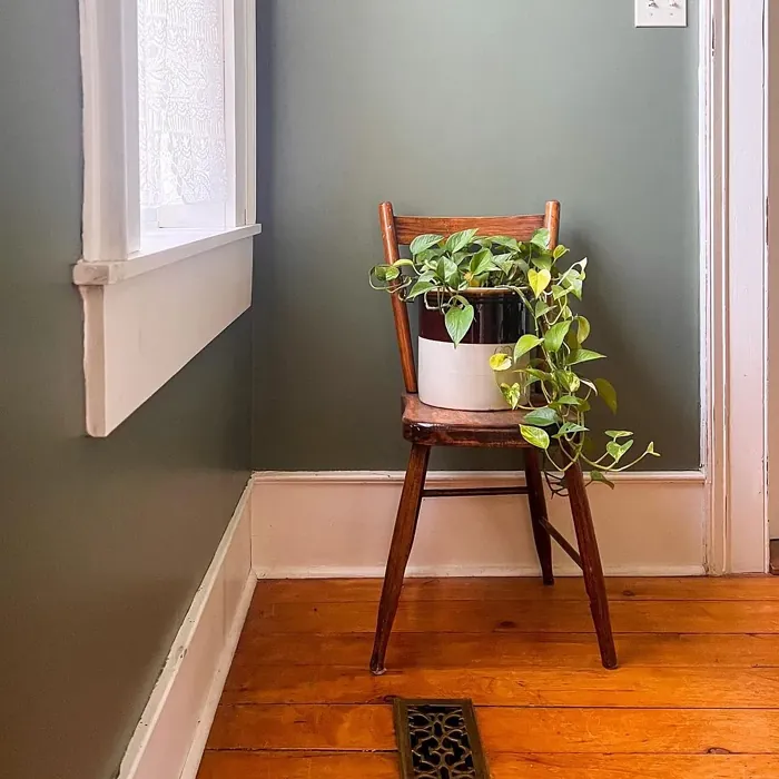 Behr Conifer Green bedroom color review