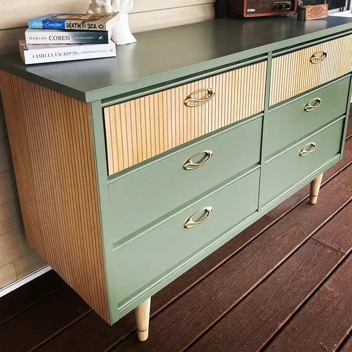 Conifer Green painted furniture photo