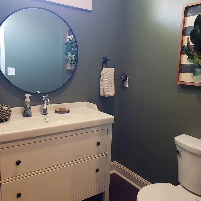 Behr Conifer Green bathroom color review