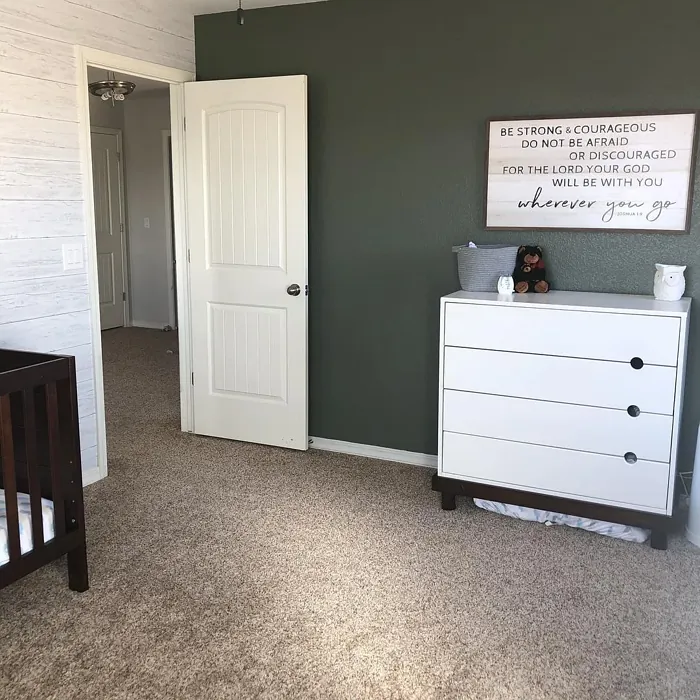 Behr Conifer Green bedroom color review