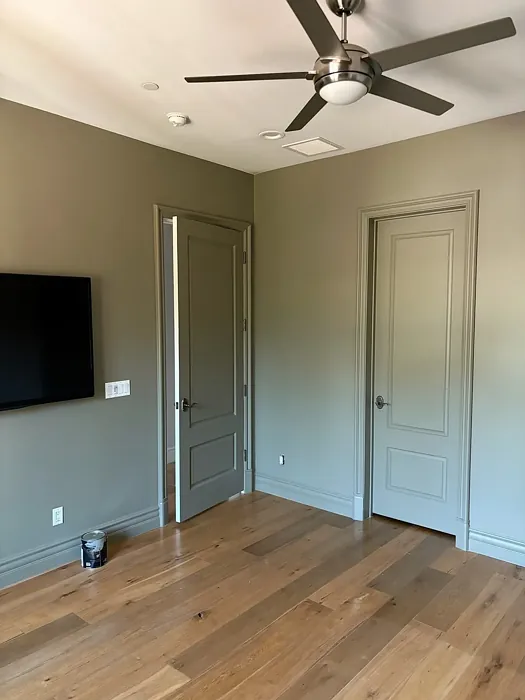 SW Connected Gray wall paint 