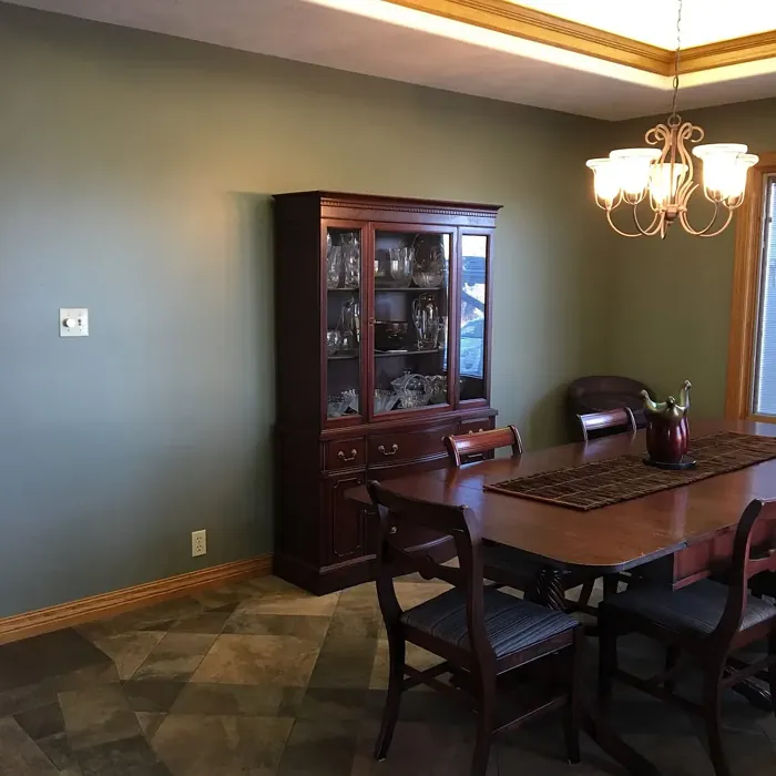 Connected Gray dining room color