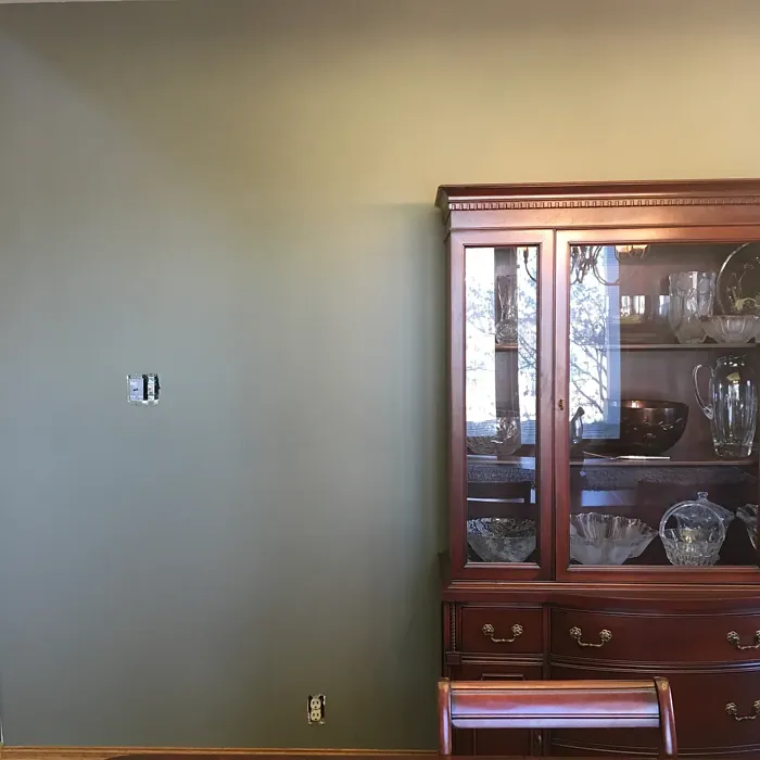 Connected Gray dining room color review