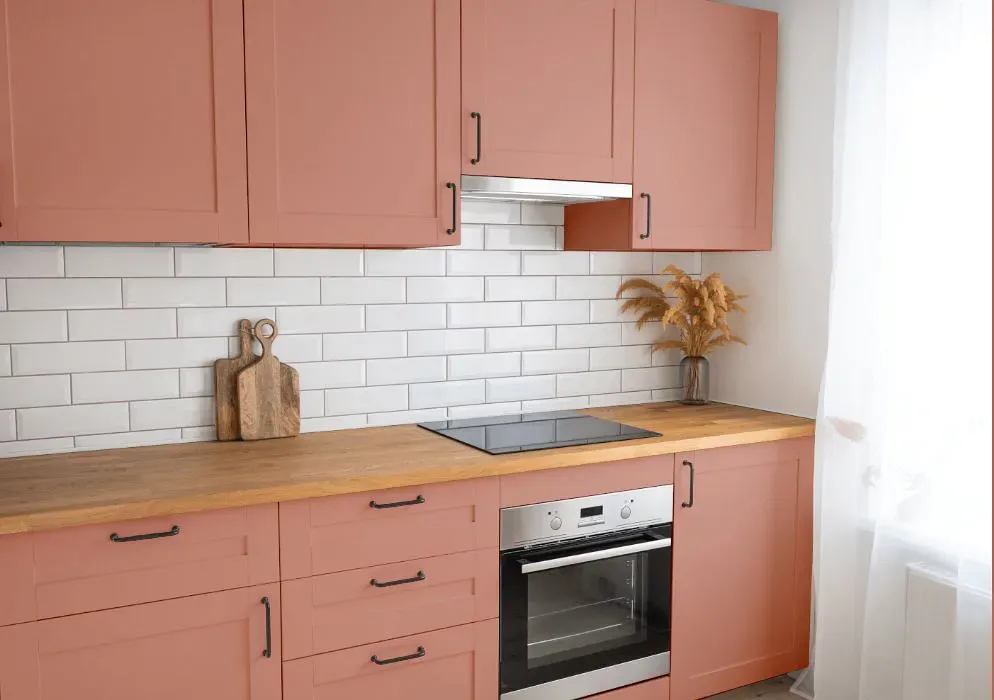 Sherwin Williams Constant Coral kitchen cabinets