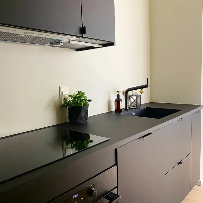 Contemporary White kitchen interior