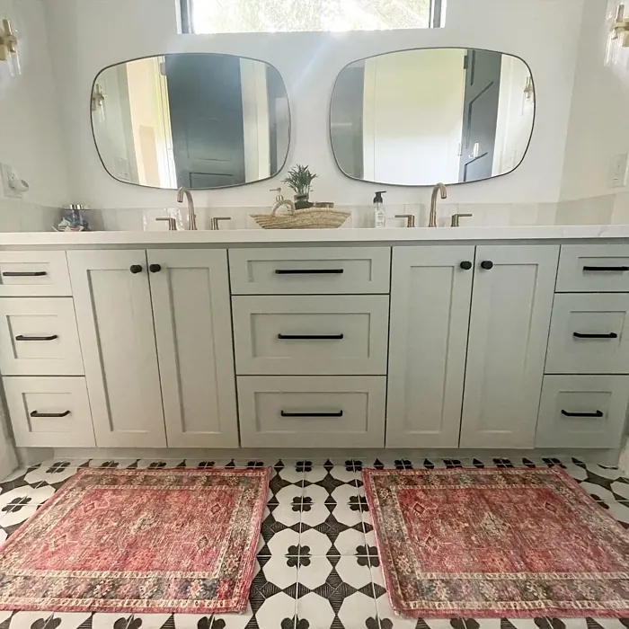 SW Contented bathroom vanity color review