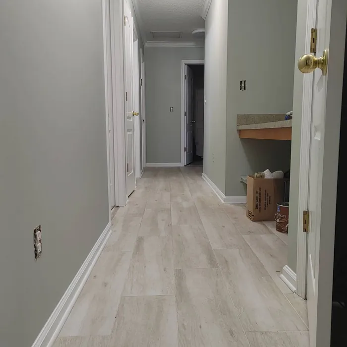 Sherwin Williams Contented Hallway