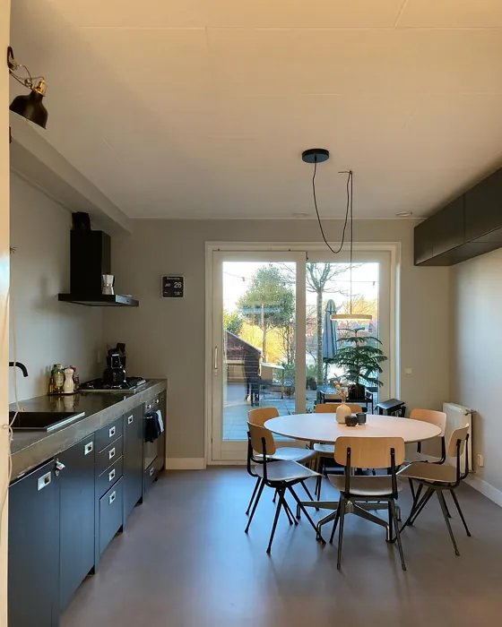 Little Greene Cool Arbour kitchen interior
