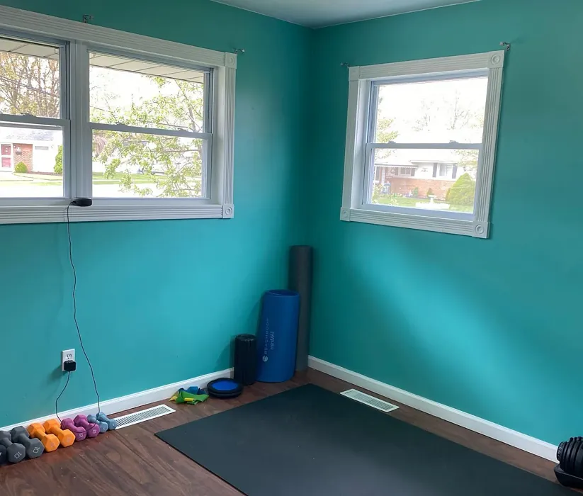 SW Cooled Blue wall paint color review