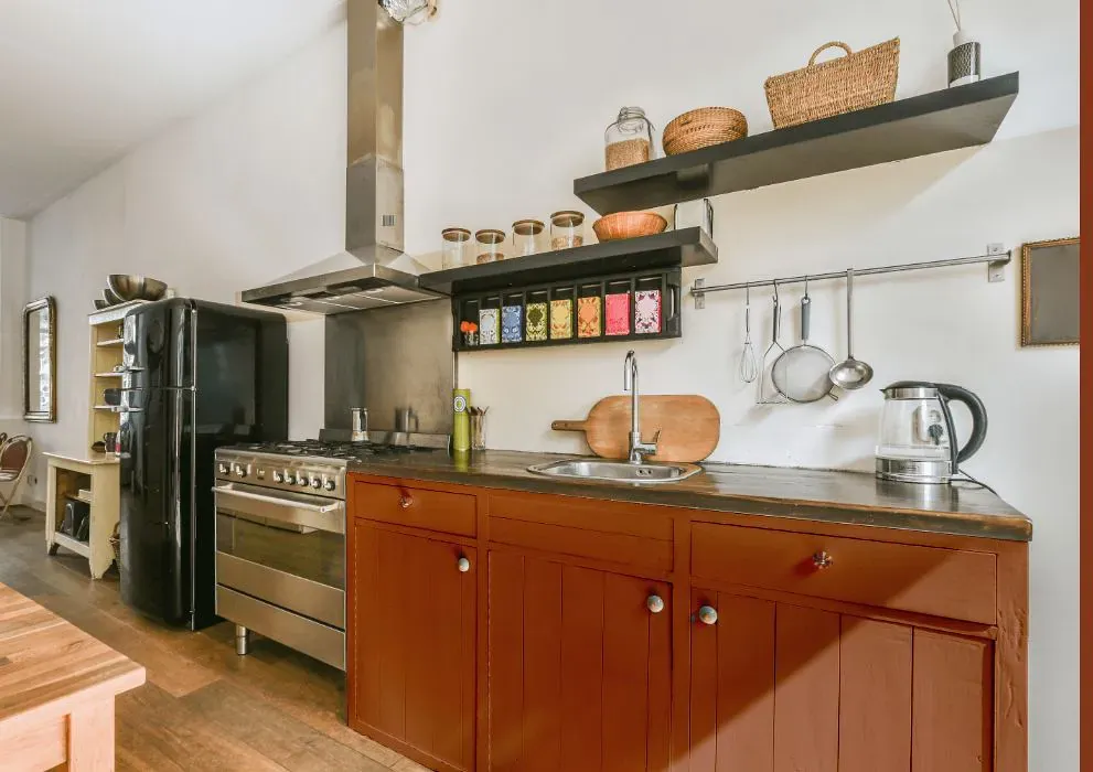 Sherwin Williams Copper Mountain kitchen cabinets