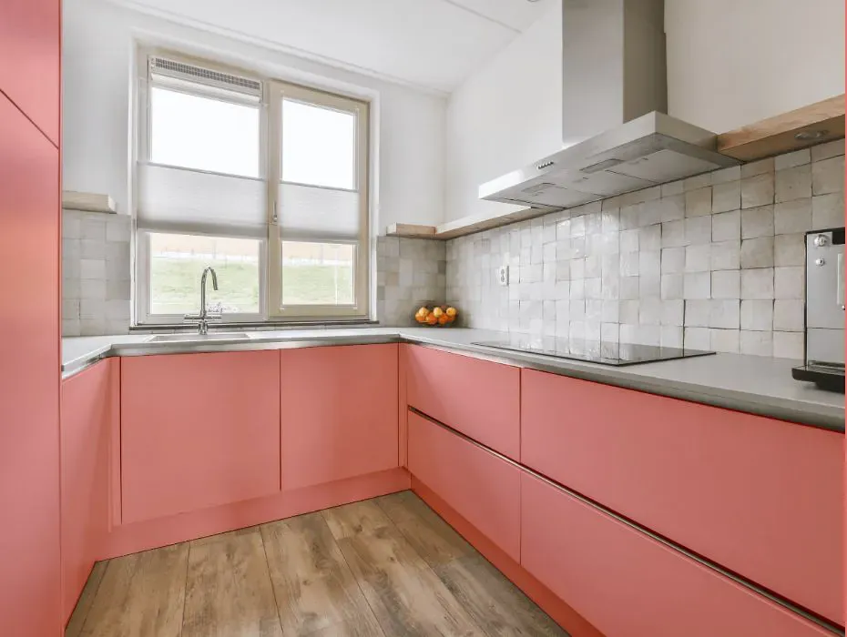 Sherwin Williams Coral Bead small kitchen cabinets