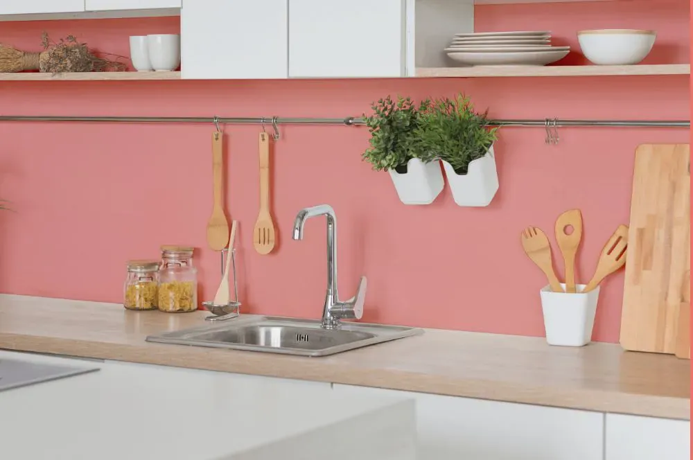 Sherwin Williams Coral Bead kitchen backsplash