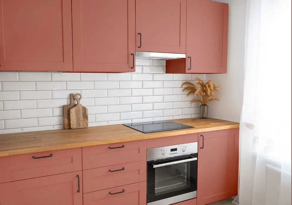 Sherwin Williams Coral Clay kitchen cabinets