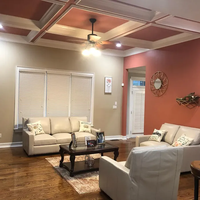 Sherwin Williams Coral Clay living room color