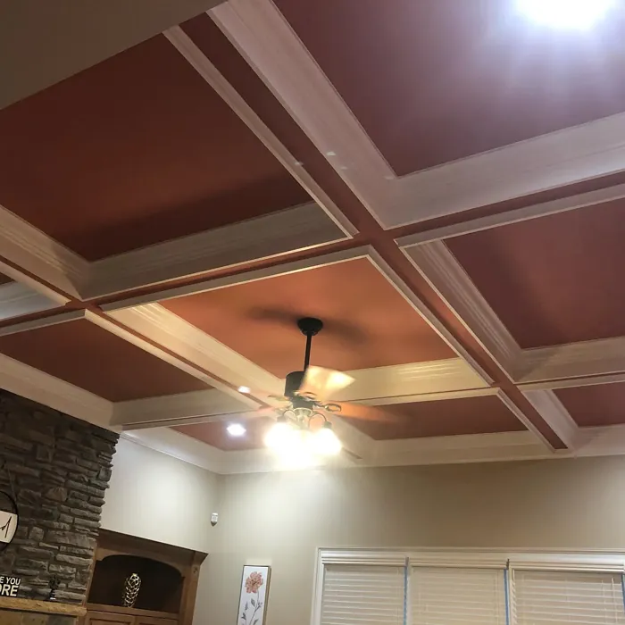 Sherwin Williams Coral Clay ceiling paint